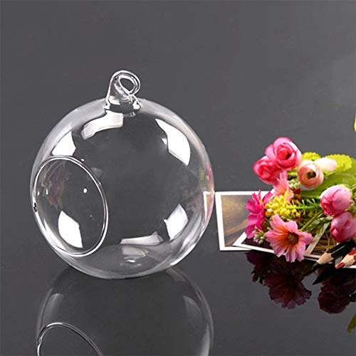 Ausuky Vase boule en verre à suspendre pour plantes et terrarium, Taille M