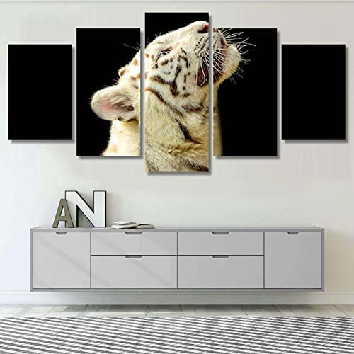 5 Teilig Leinwandbilder Kunstdrucke Gemälde 5 Teilig Leinwand Tier Drei Pferde (Xl/Ohne Rahmen 150 X 100 Cm) Leinwand Wohnzimmer Dekoration Modular Gedruckte Leinwanddrucke Kreatives Gesch -0G5M+W7