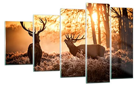 ARTTOR Mehrteilige Bilder auf Glas Deer Heidekraut Tier Glasbild 100x60cm Wandbilder Dekoration Wohnzimmer Schlafzimmer Küche Set 5 teilige Groß Wanddeko Wand Kunstdruck Art Modern GEG100x60-3043