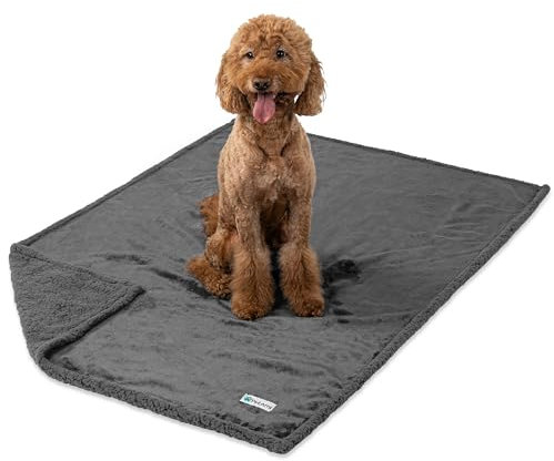 PetAmi Waterproof Dog Blanket for Couch, Large 60x40, Pee Proof Sherpa Fleece Reversible Pet Throw, Furniture Protector for Bed Sofa Kennel, Soft Washable Cover for Medium Dogs Cats, Grey Sherpa