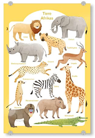 artboxONE Acrylglasbild 30x20 cm Für Kinder Tiere Afrikas Bild hinter Acrylglas - Bild löwe erdmännchen Gepard