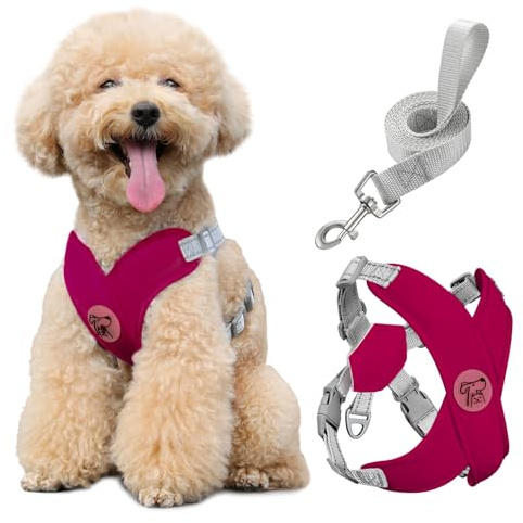 Pawaboo Set med liten hundsele och koppel, valpsele X-ram inget drag ingen choke, hundväst sele justerbar för små medelstora hundar, mjuk andningsbar husdjurssele för promenader, M, magenta