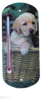 Termometro con ventosa especial ventanas T101 Altuna