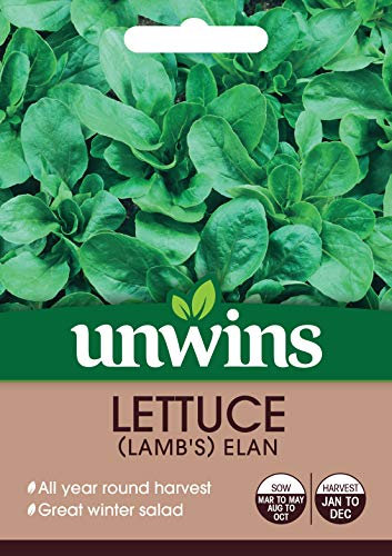 Unwins 30310620 Lettuce (Leaves) (Lamb's) Elan Seeds, Clear