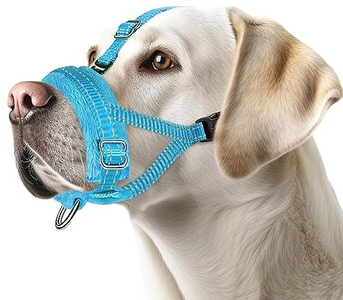 Eyein Maulkorb für Kleine Hunde, Verstellbarer Reflektierender Nylon Maulkorb für Hunde mit Verbindungsgurt, Hunde können hecheln und Trinken, Verhindert das Beißen, Bellen und Kauen (Blau, S)