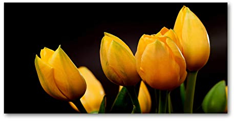Tulup Picture Wall Art 100x50cm Image Printed Acryl Decorative Wall Picture Plastic/Acrylic Glass for Kitchen & Living Room Yellow tulips