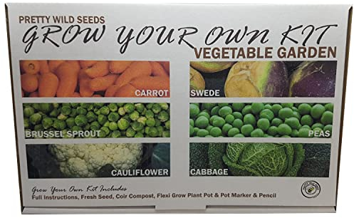 Vegetable Garden Grow Your Own Kit with Carrot Swede Cabbage Brussel Sprout Pea & Cauliflower Seeds Perfect Veg for Kids & Beginners Schools Gardening Clubs