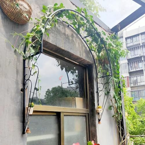 Arche de jardin en métal pour plantes grimpantes, rosiers, vignes, tonnelle, pergola, arche, idéal pour fenêtres, portes et entrées