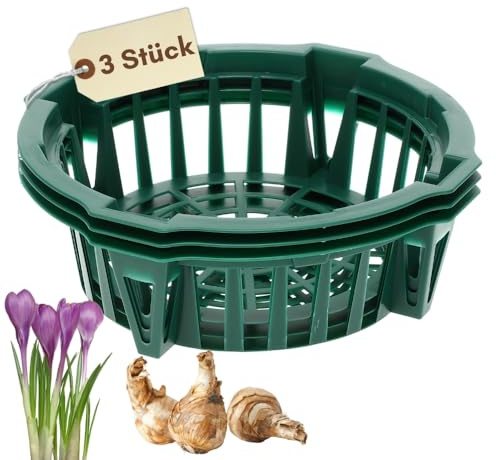 GarPet Pflanzkörbe für Blumenzwiebeln Pflanzkorb Blumenzwiebeln Pflanzkörbe für Tulpenzwiebeln Pflanzschalen Blumenzwiebel Tulpen Herbstpflanzung ø 22 cm 3 St.