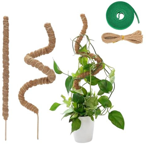2PCS Moss Pole,monstera Support,moss Pole for Monstera,for Climbing Plants Handmade Slim Plant Stakes,It Is Suitable for Various Climbing Plants and Climbing Plants.
