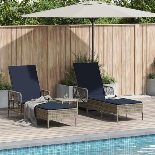 Owoxanthellate Sun Lounger Set for Patio, 2 Gray Poly Rattan Chaise Lounge Chairs 13.8 x 13.8 x 12.6 in with Adjustable Backrest, Portable Outdoor Recliner for Garden Poolside Deck Use