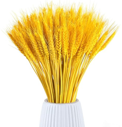 AhLmA 100 Stück Getrockneter Weizen Getreide ähren Trockenblumen Getreide Getrocknete Blumen 45cm Getrocknetes Weizenbündel Künstliches Stroh Weizen ähren Einladung Für Kamine Haus Küche Tische