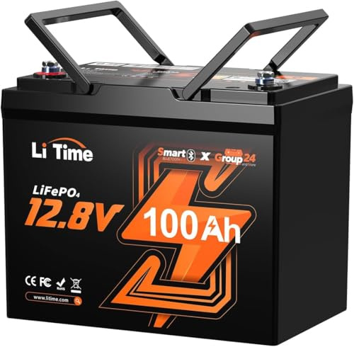 LiTime LiFePO4 100Ah Lithium Batterie 12V mit Bluetooth, 1280Wh Gruppo 24, 100A BMS und Max. 15000 Zyklen, Perfekter Ersatz für Blei-Säure für Wohnmobil, Solaranlage, Trolling-Motor
