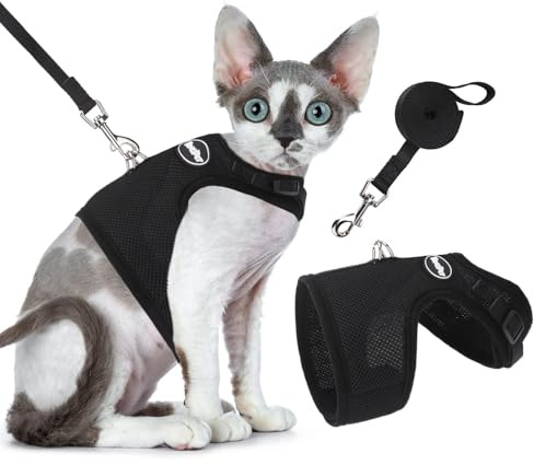 Bingpet Katzengeschirr und -Leine, ausbruchsicher, Einstellbarer, weicher Netz-Holster – ideal für das Ausführen Kleiner Kätzchen