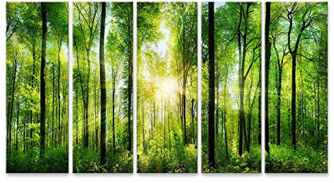 islandburner Prime Bild auf Leinwand Wald Panorama Strahlen Sonnenlicht Laubbäume Sonne Wirft Licht Bilder Wandbilder Poster