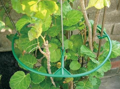 Skybook Staudenringe10er Set D:40 cm Stauden Sträucher runde Halterung Pflanzenstütze Kunststoff Rankkäfige