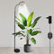 Lampe horticole 24V, LM281B+ & 660nm pour la culture en intérieur, Lampe de croissance à LED à spectre complet pour semis, 5 niveaux de gradation, 20W 350umol/s/m²@Dist:15cm