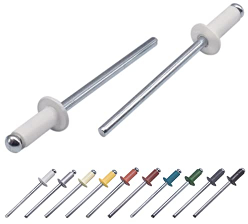 Confezione da 100 rivetti ciechi verniciati, 3,2 x 8 mm, testa a cupola, DIN 7337, rivetti in alluminio e mandrino in acciaio, rivetti pop (100, bianco puro RAL 9010)