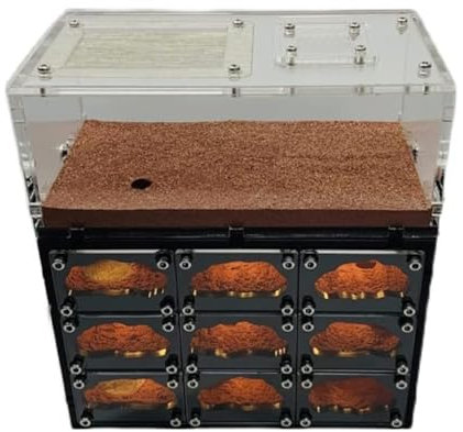 Ameisenfarm Formicarium Klassische Ameisenburg Beton Ameisennest Schwarzes Loch Nest Ameisenfarm Ameisennest Farm Mit USB-Ladekabel Ameisenfarm für Draußen