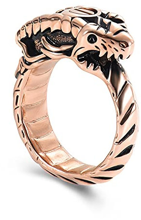 Ouroboros - Urne funéraire pour cendres - Bijou commémoratif pour un être cher - Pour homme et femme - Acier inoxydable, Acier inoxydable, Non.