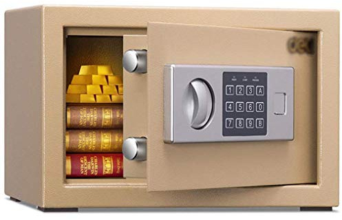 Cassetta di Sicurezza, Cassetta di Sicurezza per Denaro antincendio e Impermeabile, cassaforte ignifuga in Acciaio per archivio riservato per Ufficio con casseforti di Sicurezza con serratur