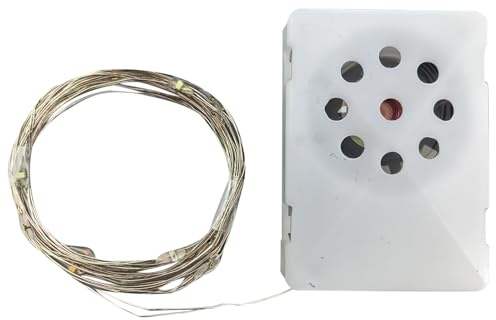 Musikbox Zum Geburtstag | Aufnahme von Sprachnachrichten | LED Lichterkette Deko zum Geburtstag für Vater Ehemann Tochter Sohn Mutter und Freunde