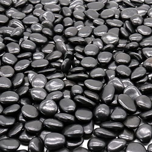 Premium Pebbles Roches noires pour plantes - Galets polis décoratifs noirs de 1/2 à 1 - 4,5 kg - pour plantes, jardin, aménagement paysager, plantes grasses, pots (SM (0,5 à 1 pouce), noir -poli, 10)