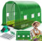 KESSER® Serra stabile con 6 finestre con zanzariera e porta, tunnel da giardino con telaio in acciaio zincato, 170 g/m², con guanti e corde, 200 x 300 cm, verde