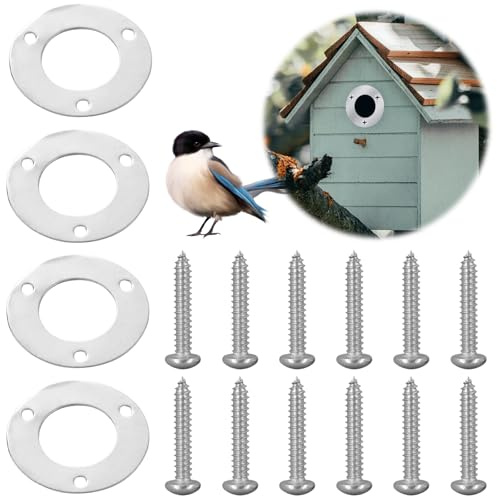 Protezione per Casetta da Giardino in Acciaio Inox, 4 Pezzi Accessori per Casetta per Uccellini da Esterno, Protezione per fori di volo per calce di carbone, piastra di protezione