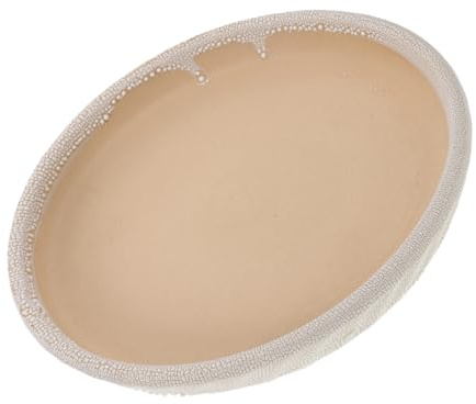 FUNOMOCYA Vassoio Sottovaso in Ceramica Rotondo per Piante Base di Drenaggio Elegante per Fioriere Sottopentola Decorativo per Interni Resistente e Facile da Pulire