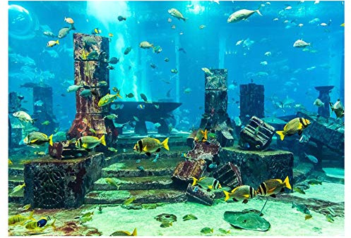 HEEPDD PVC Coral Aquarium Background Poster, Fish Tank Wall Underwater Decorations Sticker Decor Paper Cling Decals Sticker(61 * 41cm)