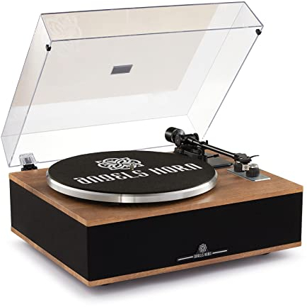 All-in-One Vinyl Record Player, Bluetooth Turntable with Built in Speakers Phono Preamp, High Fidelity Turntables for Vinyl Records with Magnetic Cartridge AT-3600L, Belt Drive 2-Speed