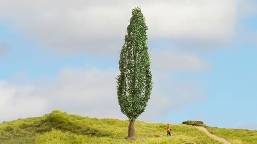 NOCH® Pappel, Modellbaum im Grünen, 18 cm hoch für die Spurweiten H0, TT, N, Z geeignet für Dioramen und Miniaturwelten