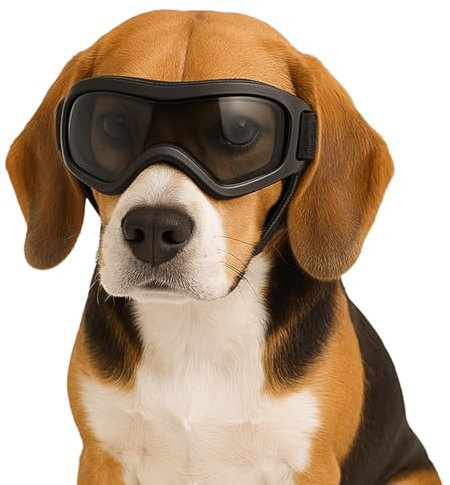 Fohuanky Hundebrille für kleine und mittelgroße Rassen, verstellbare Haustier-Sonnenbrille mit UV-Schutz, Hundebrille für Reisen, Wandern, Outdoor-Spaß (Schwarz, M)