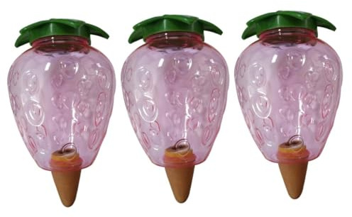 Toddmomy 3 Pièces Dispositif Arrosage Automatique de Fraise pour Plantes Intérieur Arrosage Plastique pour Bonsaïs Jardinage