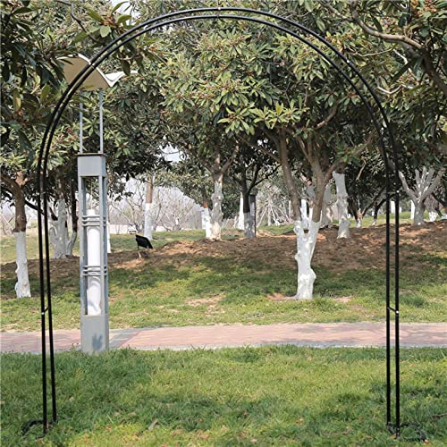 Arche de jardin en métal grande largeur 120–350 cm, parfaite pour plantes grimpantes et roses, arches de mariage, assemblage facile, décoration extérieure, taille : 180 cm