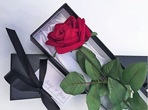 Neofleur Single Stem Romantic Red Rose in a Silk Lined Black Presentation Gift Box including Always & Forever Gift Card. (Sassi)