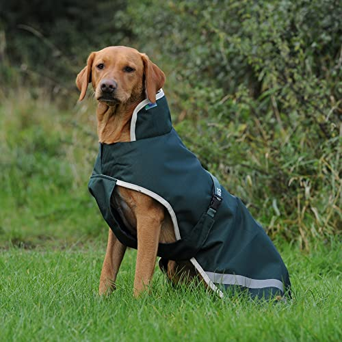 Bucas Greenline Dog Rug Green/Creme 30cm