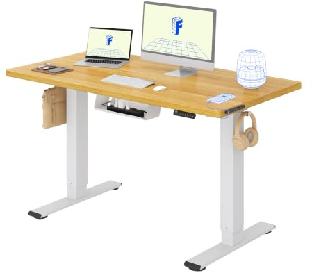 FLEXISPOT Scrivania Regolabile in Altezza 120x60 cm, 2 Motori, Piano Unico 25 mm, Memoria & Display Altezza, Ergonomica con Gestione Cavi, Ripiano Sottoscrivania, Ganci e Clip Fermacavi