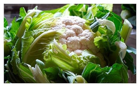 Pcs - 40x Cauliflower Walcheren Winter 5 Vegetables Garden Plants - Seeds KS140 & Plants Shop by Ipsa