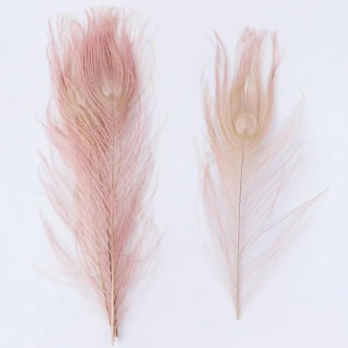 WYLZBA 10/20 Stück gefärbte Pfauenfedern 25–30 cm für DIY Handwerk Vasen Hut Kostüm Zuhause Party Hochzeit Karneval Urlaub Blumendekor-Leder rosa-20 Stück