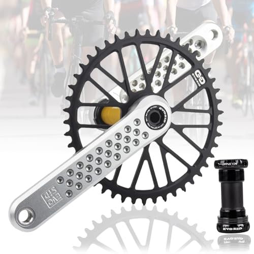 HZXQCVB 165/170/175mm Integriert Hohl Rennrad-Kurbelgarnitur Aluminium-Legierung Kurbelarm-Set Für Gravel Fahrrad/Faltrad Mit 40T/42T/44T/46T/48T GXP Kettenblatt Und Tretlager(170mm Silver,46T)