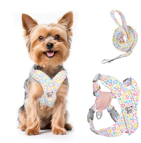 Pawaboo Kleines Hundegeschirr und Leine Set Verstellbar | Welpengeschirr X-Form ohne Ziehen ohne Würgen, Hundewestengeschirr für Kleine und Mittelgroße Hunde, XS, Bunter Leopard