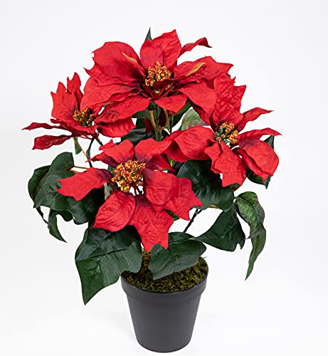 Seidenblumen Roß Weihnachtsstern im Topf 36cm rot PF künstliche Poinsettie Blume Pflanze Kunstblumen Kunstblumen