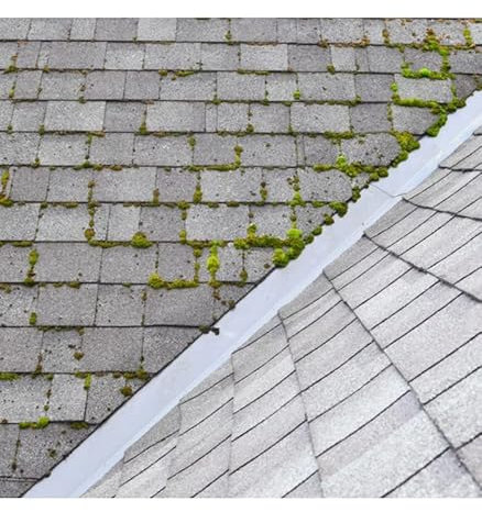 Imperméabilisant incolore traitement destructeur algicides lichens et verdissures 5 L - MATPRO