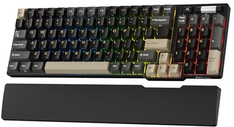 RK ROYAL KLUDGE RK96 RGB Limited Ed, 90% 96 tasti Wireless 3-Mode BT5.0/2.4G/USB-C Hot Swap tastiera meccanica w/poggiapolsi, controllo volume, software, batteria enorme, interruttore RK Viridian