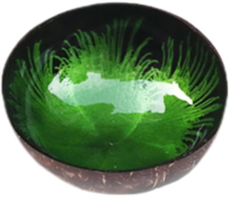 CocoBowl - CocoBowl Painted | Natural Shell Polished Decorative Key Bowl for Hallways | Elegant Key Storage Bowl | Home Decoration for Entrance, Living Room, Dining Room, Bedroom