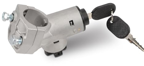 Fraylis Interruttore Accensione per Jumper 1994-2002 Panda 141A 1986-1999 Boxer 1994-2002 Ducato (230) 1994-2002 Bloccasterzo Cilindretto Avviamento Blocchetto con Chiavi 4162H1 1611377680 59232004