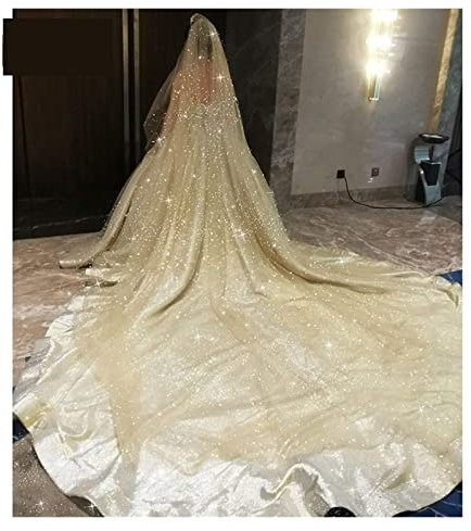 ONTENY Luxus-Kathedralen-Brautschleier Bling Bling Brautschleier Weicher einreihiger Brautschleier mit Kamm-Glitzer-Hochzeitszubehör (Color : Champagne, Size : 500cm)