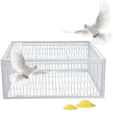 MBBTAG Piege a pigeon, Cage piège à Poulets et Oiseaux, cage piège à animaux piège à pigeons piege, piège à oiseaux avec conception anti-fuite, adapté aux terrasses, jardins et fermes(Blanc,90x60x26cm